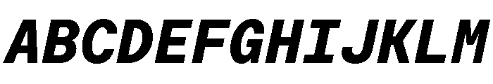 Moderat Mono Extra Bold Italic Font UPPERCASE