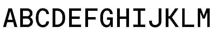 Moderat Mono Medium Font UPPERCASE