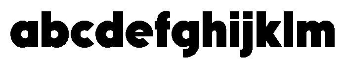 Mostra Nuova Heavy FONT