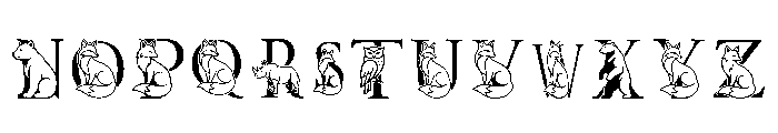Mrfox Regular Font UPPERCASE
