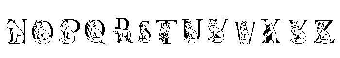 Mrfox Regular Font LOWERCASE