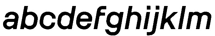 MSCHN LItalic Instance FONT
