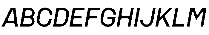 MSCHN MItalic Instance Font UPPERCASE