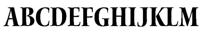 Mtm Pontejos 2 Variable Bold Font UPPERCASE