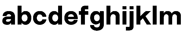 MTEverydaySans ExtraBold FONT