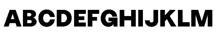 MTEverydaySans Heavy Font UPPERCASE