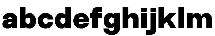 MTEverydaySans Heavy FONT