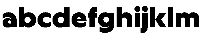 MTGertrudes HeavyA FONT