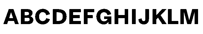 MTUpdateSans Bold Font UPPERCASE