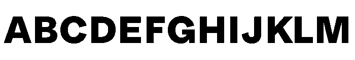 MTUpdateSans ExtraBold Font UPPERCASE