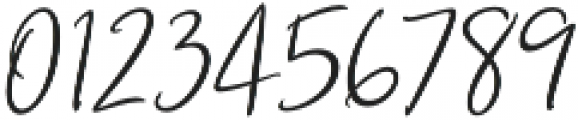 Musette Script Italic Alt3 Reg otf (400) Font OTHER CHARS