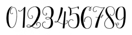 Mulberry Script Regular Font OTHER CHARS