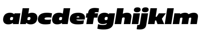 Muller Next Wide Extra Black Italic FONT