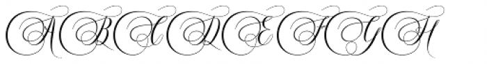 Murchison Script Regular Font UPPERCASE