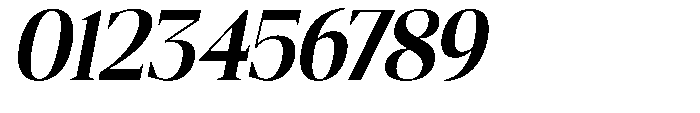 Mustank Serif Bold Italic Font OTHER CHARS