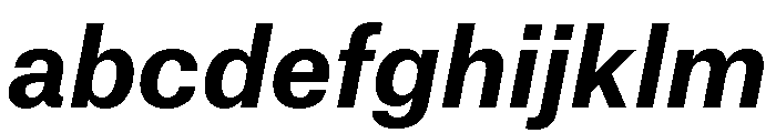 Munich Re Bold Italic FONT