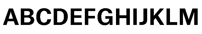 Munich Re Bold Font UPPERCASE