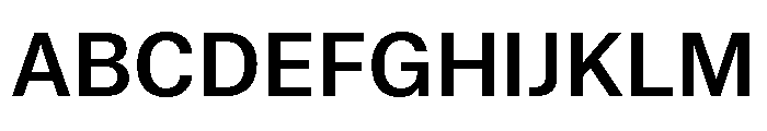 Munich Re Medium Font UPPERCASE