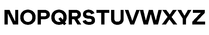 Muoto Bold Font UPPERCASE