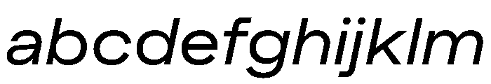 Muoto ExtendedItalic FONT