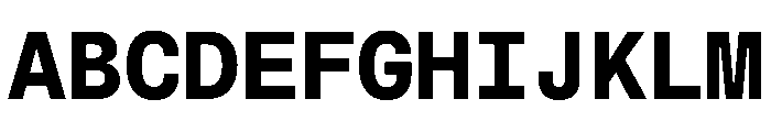 MuotoMono Bold Font UPPERCASE