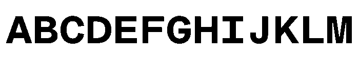 MuotoMonoExtended Bold Font UPPERCASE