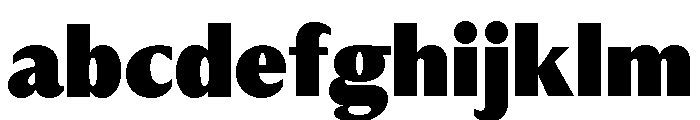 Museum Black FONT