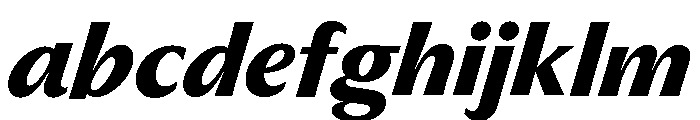 Museum Bold 2 FONT