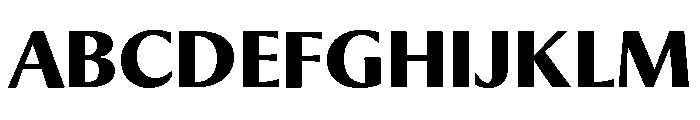 Museum Bold Font UPPERCASE