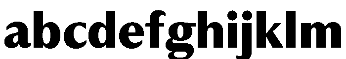 Museum Bold FONT