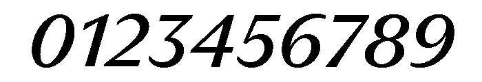 Museum Italic Font OTHER CHARS