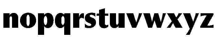 Museum Ultrabold Font LOWERCASE
