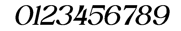 Myles Birsdie Italic Font OTHER CHARS