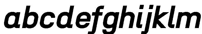 N27 BoldItalic FONT