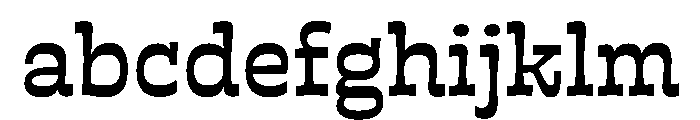 Naatak Tamil Medium FONT