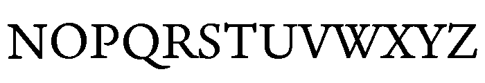 Narkiss Text Variable Light Font UPPERCASE