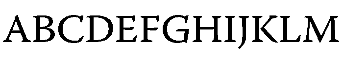Narkiss Text Variable Regular Font UPPERCASE