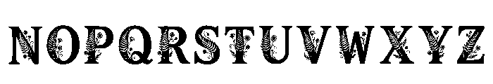 Nael Regular Font UPPERCASE