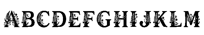 Nael Regular FONT
