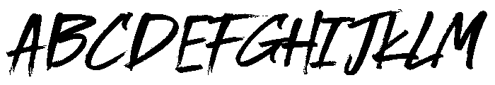 Nafigator Black Regular FONT