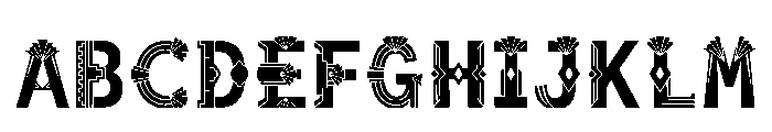 Naji Regular FONT