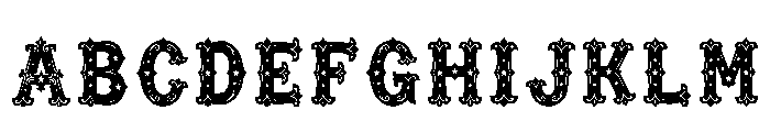 Narva Regular FONT