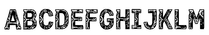 Naryn Regular FONT