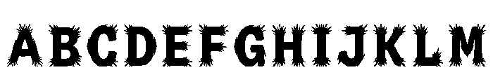 Nast Regular FONT