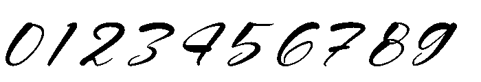 Natural Botanicals Italic Font OTHER CHARS