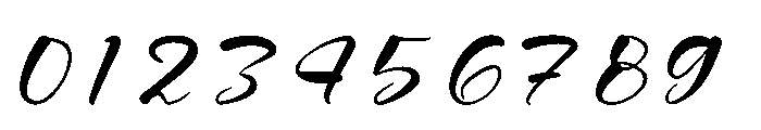 Natural Botanicals Font OTHER CHARS