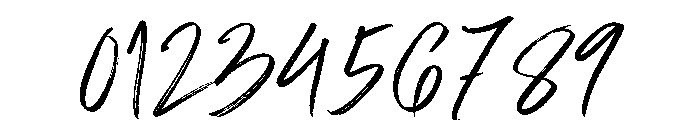 Natural Outside Regular Font OTHER CHARS