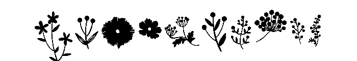 Nature Florals Font OTHER CHARS