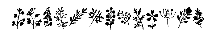 Nature Florals Font UPPERCASE