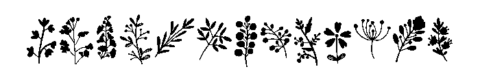 Nature Florals Font LOWERCASE